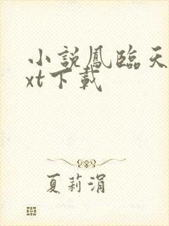 小说凤临天下txt下载