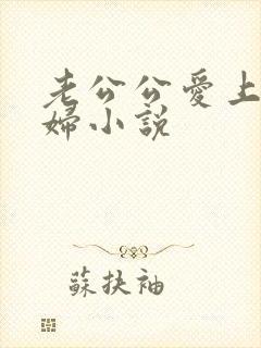 老公公爱上儿媳妇小说
