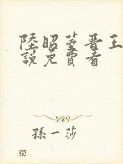 陆昭菱晋王的小说免费看