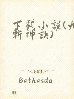 下载小说(九天斩神诀)