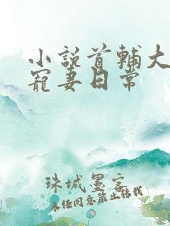 小说首辅大人的宠妻日常