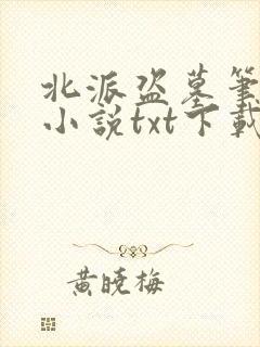 北派盗墓笔记 小说txt下载