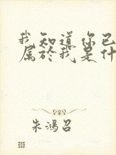 我知道你已不再属于我是什么歌