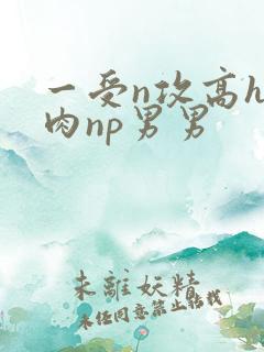 一受n攻高h全肉np男男