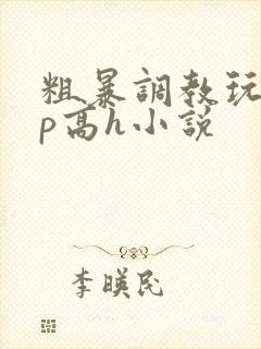 粗暴调教玩弄np高h小说