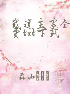 武道主宰全文免费txt下载