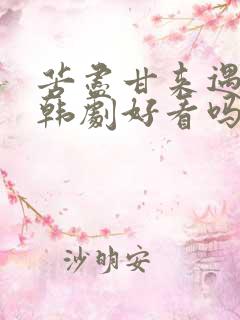 苦尽甘来遇见你韩剧好看吗