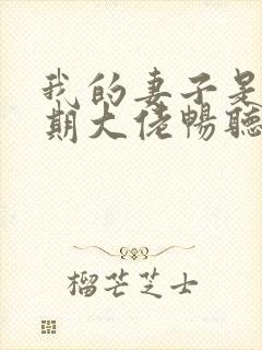我的妻子是大乘期大佬畅听