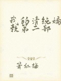 我的清纯娇妻调教第二部