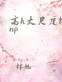 高h大尺度纯肉np