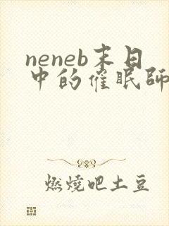 neneb末日中的催眠师小说全文免费阅读