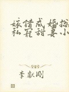 嫁错成婚总裁的私宠甜妻小说