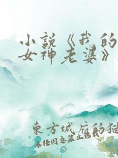 小说《我的绝美女神老婆》