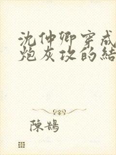 沈仲卿穿成反派炮灰攻的结局