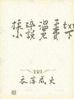 揉碎温柔txt小说免费下载