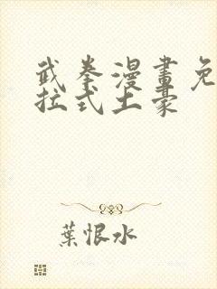 武拳漫画免费下拉式土豪