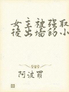 女主被强取豪夺后出墙的小说