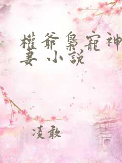 权爷枭宠神秘娇妻 小说