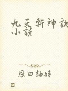 九天斩神诀林辰小说