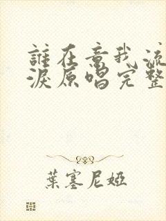 谁在意我流下的泪原唱完整版歌词