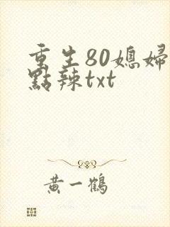 重生80媳妇有点辣txt