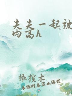 夫夫一起被c纯肉高h