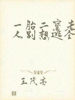 一胎二宝老婆大人别想逃全文免费阅读