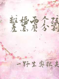 离婚两个孩子财产怎么分割