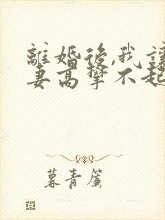 离婚后,我让前妻高攀不起下载 全本