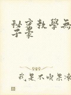 秘密教学无删减子豪