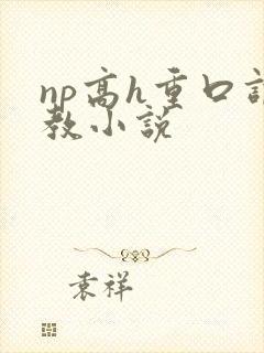 np高h重口调教小说