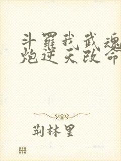 斗罗我武魂罗三炮逆天改命