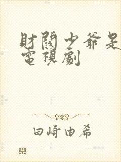 财阀少爷是什么电视剧