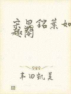 宋思铭叶如云笔趣阁