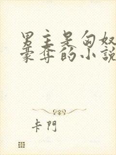 男主是匈奴强取豪夺的小说