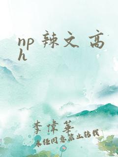 np 辣文 高h