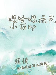 嗯哈嗯操我嗯啊小说np