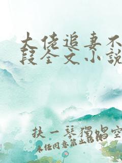 大佬追妻不择手段全文小说阅读全文