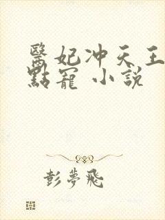 医妃冲天王爷轻点宠 小说