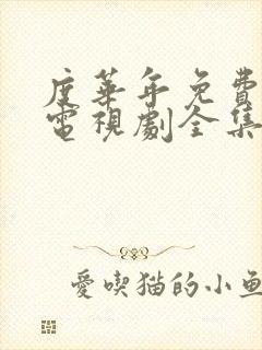 度华年免费观看电视剧全集高清