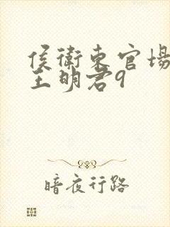 侯卫东官场笔记王明君9