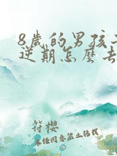 8岁的男孩子叛逆期怎么去引导