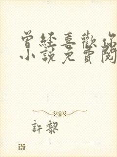 曾经喜欢你的我小说免费阅读