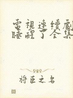 电视连续剧爱情睡醒了全集