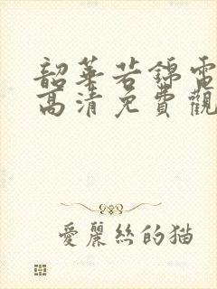 韶华若锦电视剧高清免费观看全集在线播放