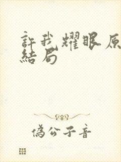 许我耀眼原著大结局