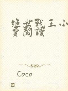 绝世战王小说免费阅读