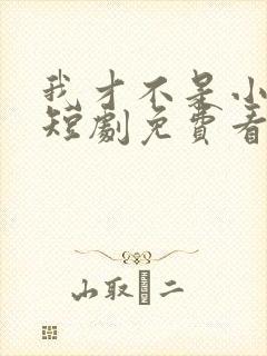 我才不是小可怜短剧免费看