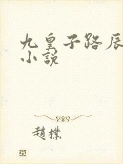 九皇子路辰穿越小说