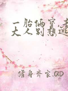 一胎俩宝,老婆大人别想逃看